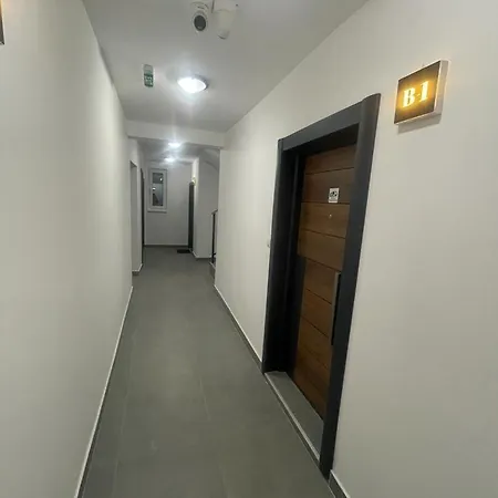 Leona B-1 Zivojinovic * Divčibare