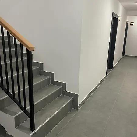 Leona B-1 Zivojinovic Divčibare