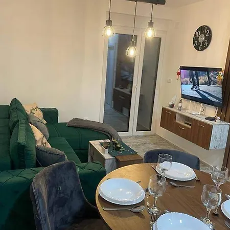 Leona B-1 Zivojinovic