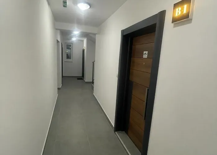 Leona B-1 Zivojinovic * Дивчибаре