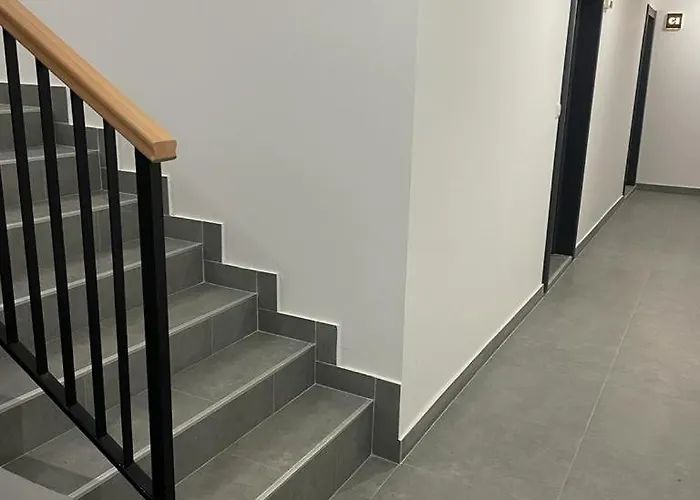 Leona B-1 Zivojinovic Divčibare