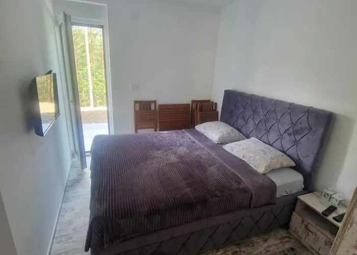 Leona B-1 Zivojinovic Апартаменты