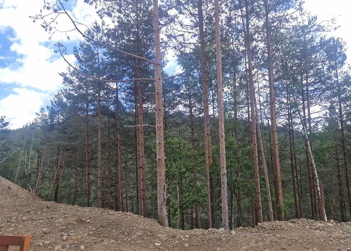 Leona B-1 Zivojinovic